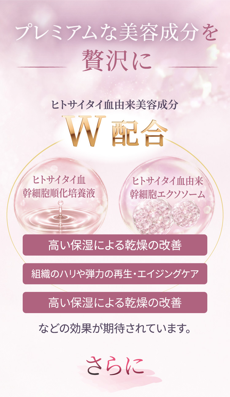 配合美容成分の紹介