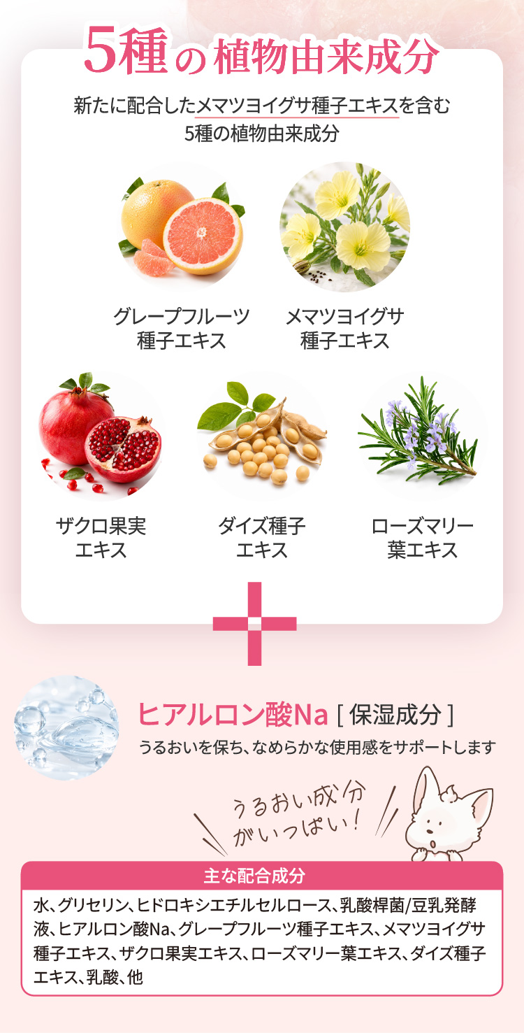 5種の植物由来成分・ヒアルロン酸Na・主な配合成分